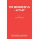 Mr Wonderful