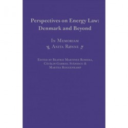 Perspectives on Energy Law: Denmark and Beyond: In Memoriam Anita Rønne