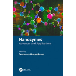 Nanozymes: Advances and Applications