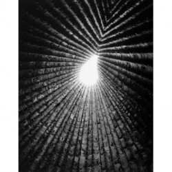 Light Lines: The Architectural Photographs of Helene Binet