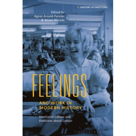 Feelings and Work in Modern History: Emotional Labour and Emotions about Labour