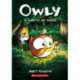A Time to Be Brave: A Graphic Novel (Owly -4)