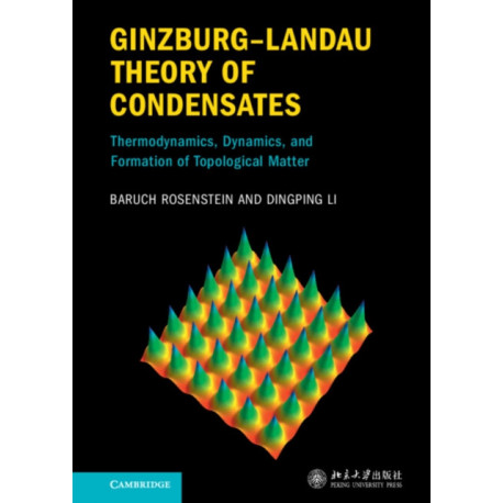 Ginzburg–Landau Theory of Condensates: Thermodynamics, Dynamics and Formation of Topological Matter