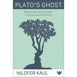 Plato’s Ghost: Minus Links and Liminality in Psychoanalytic Practice