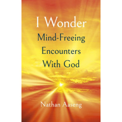 I Wonder: Mind-Freeing Encounters With God
