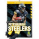 The Story of the Pittsburgh Steeler