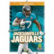 The Story of the Jacksonville Jagua