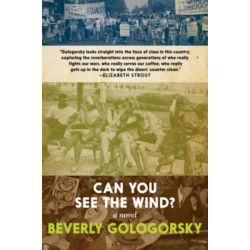 Can You See the Wind?