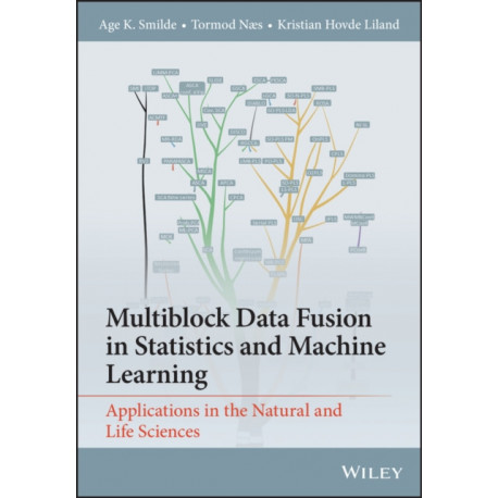 Multiblock Data Fusion in Statistics and Machine Learning: Applications in the Natural and Life Sciences