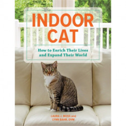 Indoor Cat: How to Enrich their Lives and Expand their World