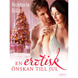 En erotisk önskan till jul - erotisk julnovell