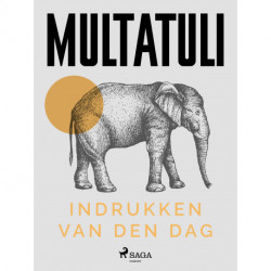 Indrukken van den dag