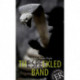 The Speckled Band, ER A