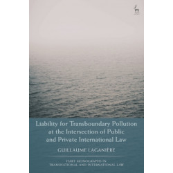 Liability for Transboundary Pollution at the Intersection of Public and Private International Law
