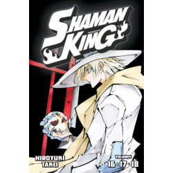 SHAMAN KING Omnibus 6 (Vol. 16-18)
