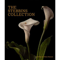 The Stebbins Collection: A Gift for the Morse Museum