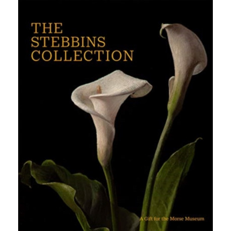 The Stebbins Collection: A Gift for the Morse Museum