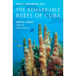 The Remarkable Reefs Of Cuba: Hopeful Stories From the Ocean Doctor