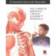 Complete Portfolio of Human Anatomy & Pathology