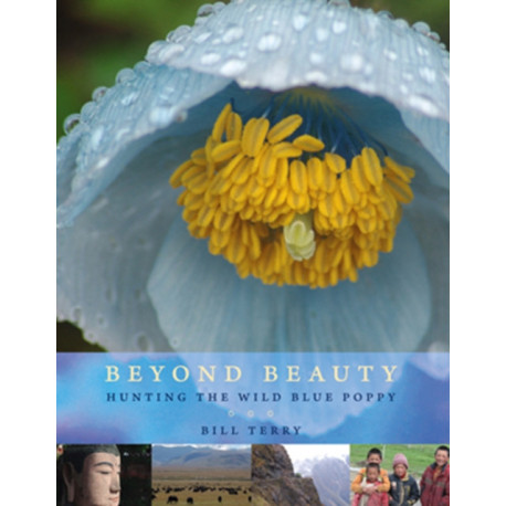 Beyond Beauty: Hunting the Wild Blue Poppy
