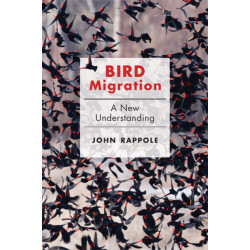 Bird Migration: A New Understanding