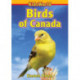 Birds of Canada