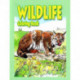 Wildlife Coloring Book
