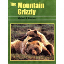 Mountain Grizzly