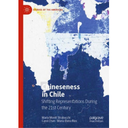 Chineseness in Chile: Shifting Representations During the Twenty-First Century