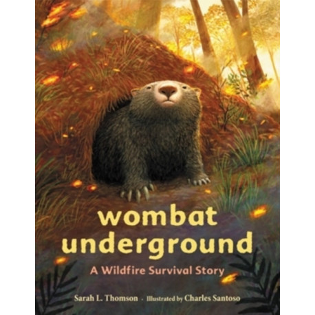 Wombat Underground: A Wildfire Survival Story