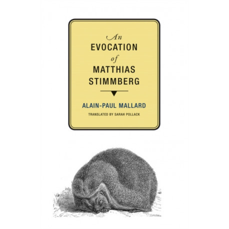 An Evocation of Matthias Stimmberg