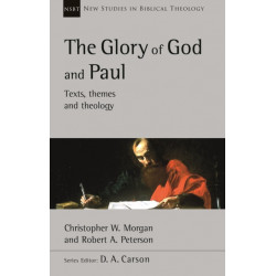 The Glory of God and Paul: Text, Themes and Theology