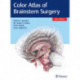 Color Atlas of Brainstem Surgery