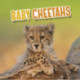 Baby Cheetahs