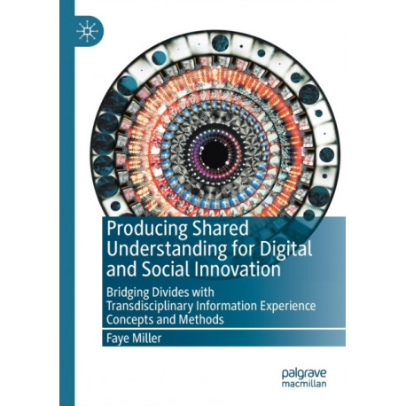 Producing Shared Understanding for Digital and Social Innovation: Bridging Divides with Transdisciplinary Information Experience Concepts and Methods