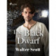 The Black Dwarf