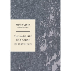 The Hard Life of a Stone