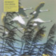 Adult Jigsaw Puzzle Robert Gillmor: Swans Flying over the Reeds (500 pieces): 500-Piece Jigsaw Puzzles