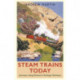 Steam Trains Today: Journeys Along Britain’s Heritage Railways