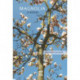 Magnolia: A Novel