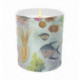 Art of Nature: Under the Sea Scented Glass Candle