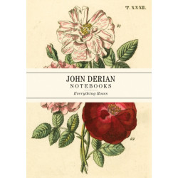 John Derian Paper Goods: Everything Roses Notebooks