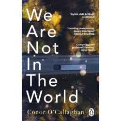 We Are Not in the World: ‘compelling and profoundly moving’ Irish Times