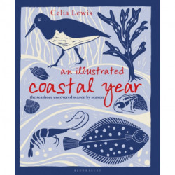 An Illustrated Coastal Year: The seashore uncovered season by season