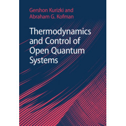 Thermodynamics and Control of Open Quantum Systems