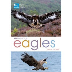 RSPB Spotlight: Eagles