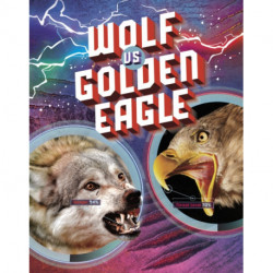 Wolf vs Golden Eagle