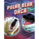 Polar Bear vs Orca