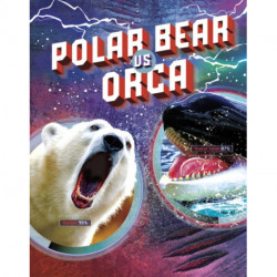 Polar Bear vs Orca