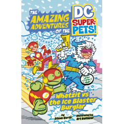 Whatzit vs the Ice Blaster Burglar